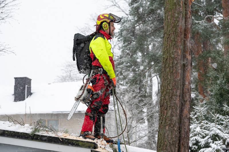 Turvallista puunkaatoa Espoossa